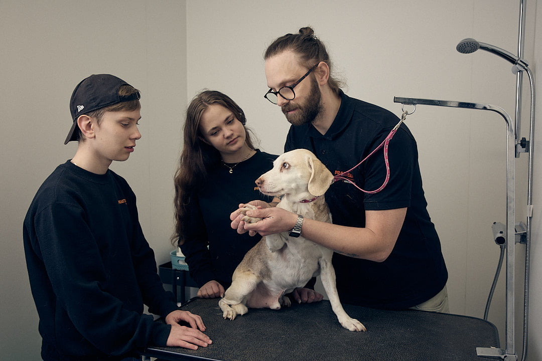 Elever och lärare på naturbruk som undersöker en hund